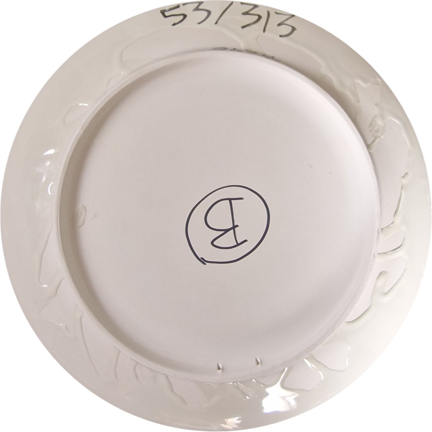 Caninas: pulpo 53/313 B