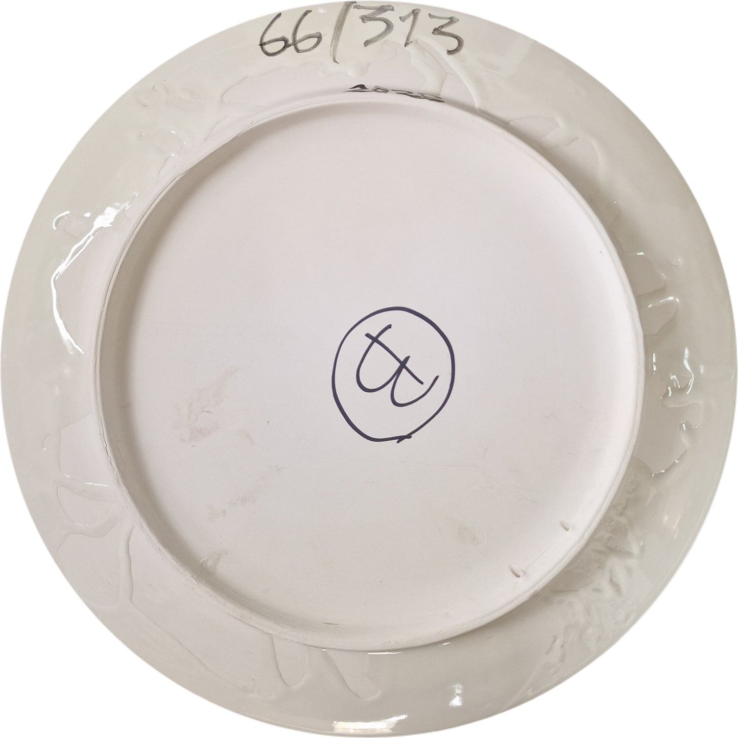 Caninas: araña 66/313 B