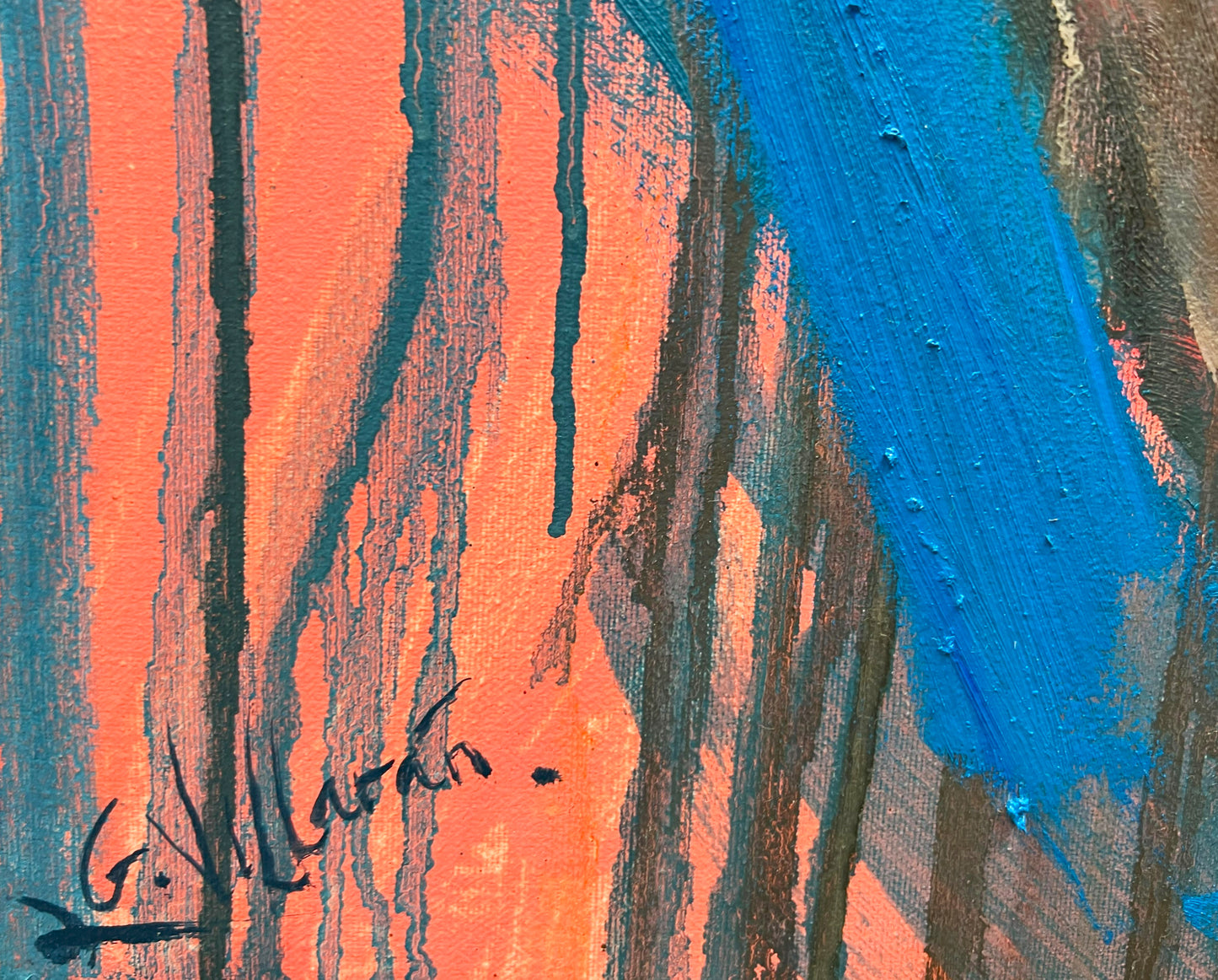 The spiral of the cat's dreams