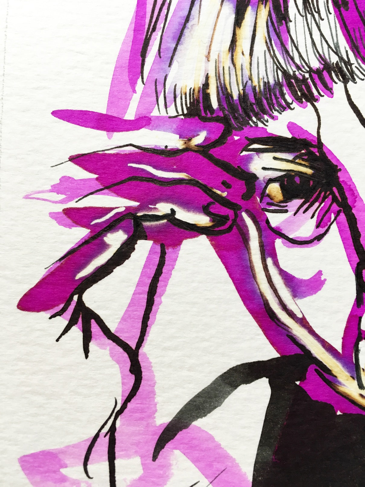 FORT SUCCÈS, GLOIRE