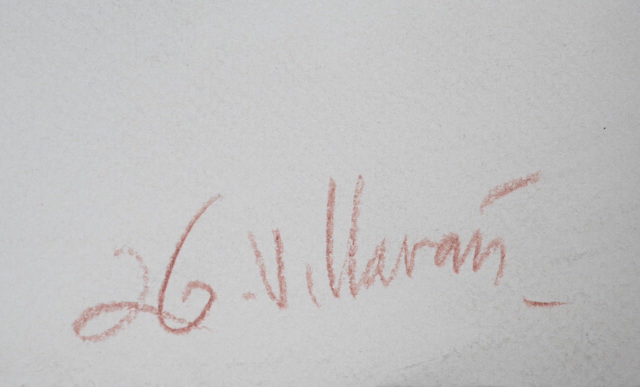 Mirando las hormigas