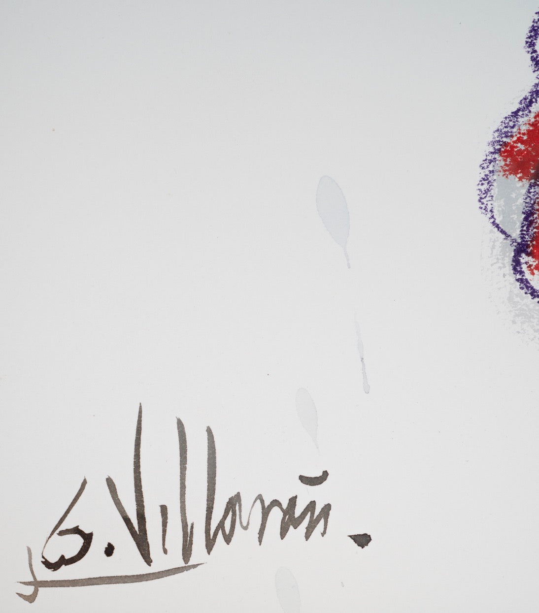 The hunted bird woman