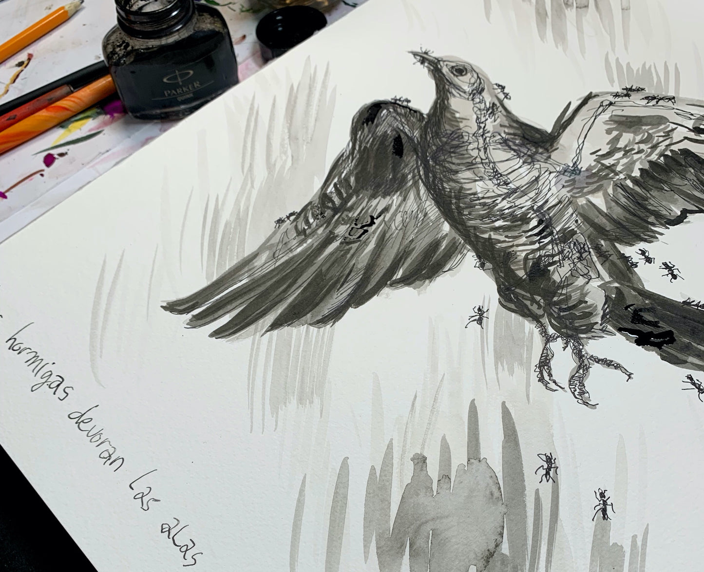 Les fourmis dévorent un oiseau pendant qu'il vole