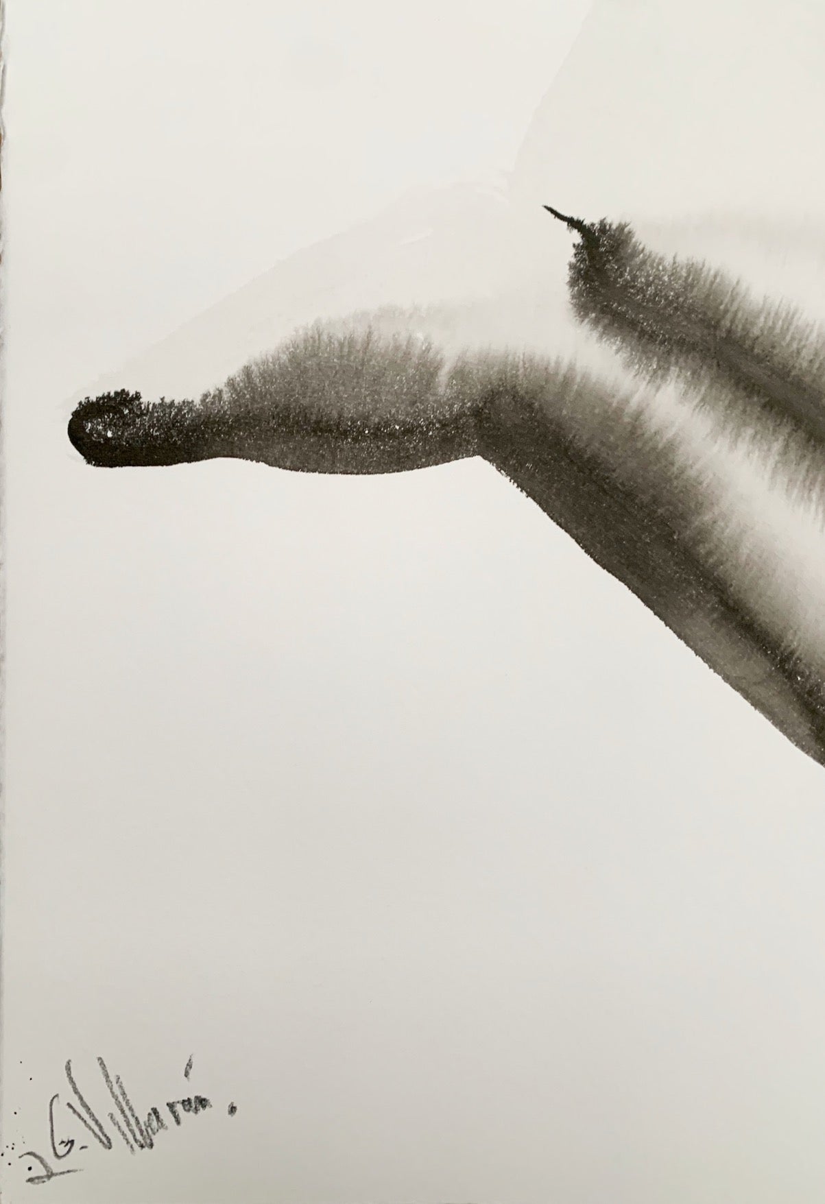 The woman who wanted to be a hummingbird