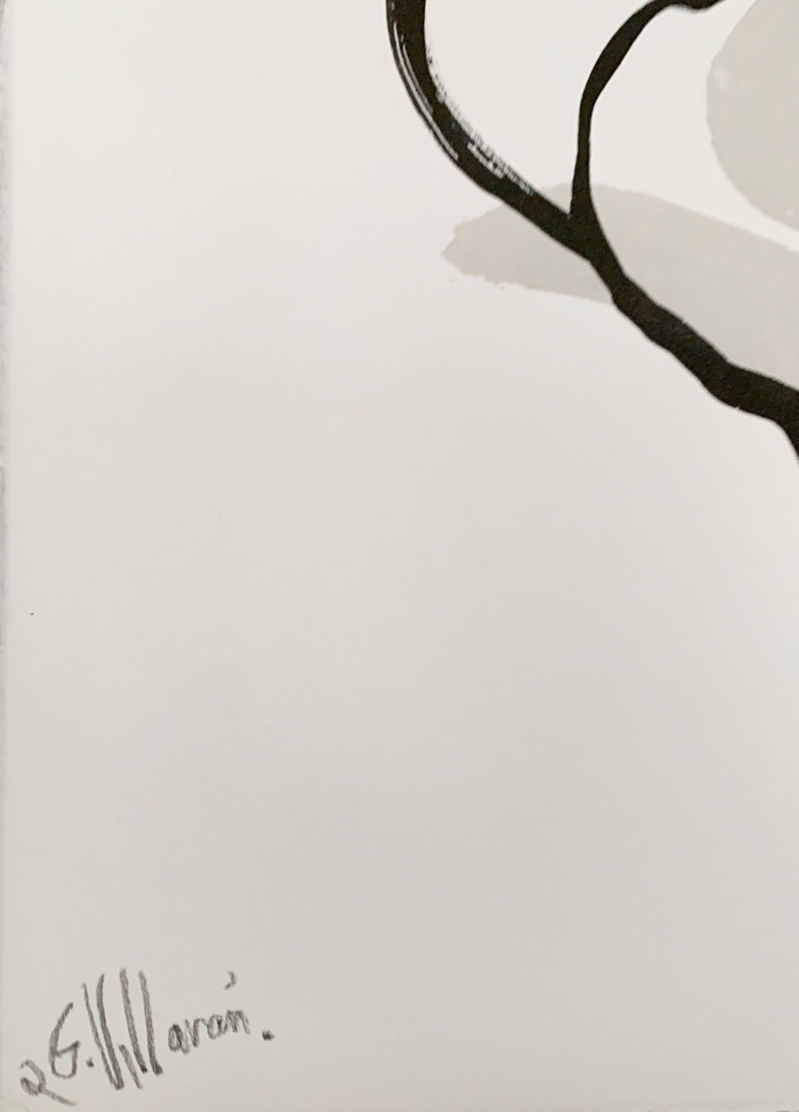 The woman who loved flowers