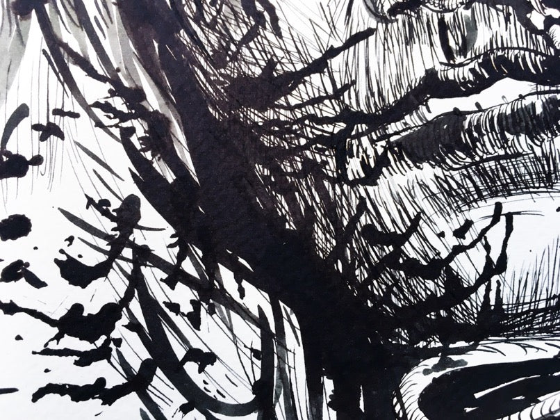 Observaba en el espejo...