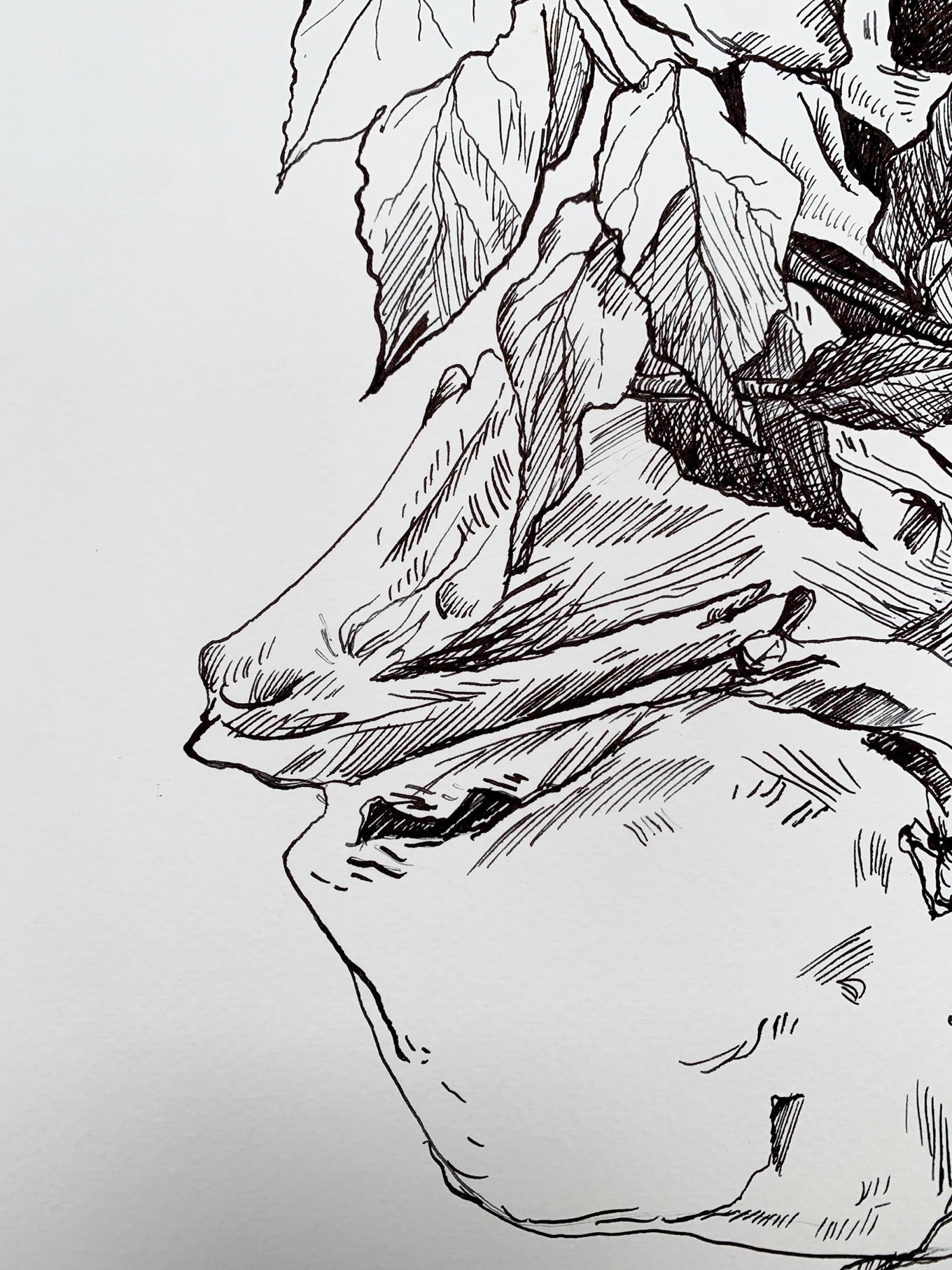 The boy lost in the bushes