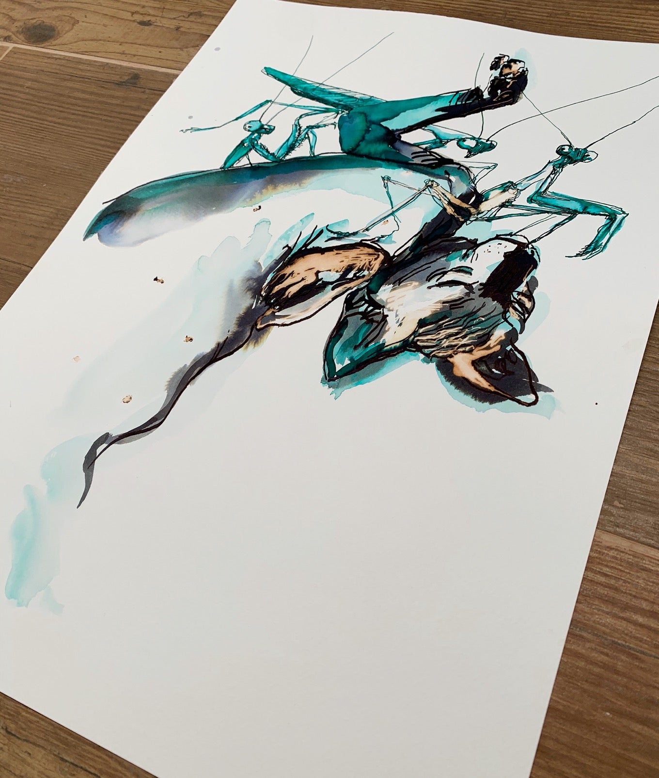 El mundo de las mantis religiosas