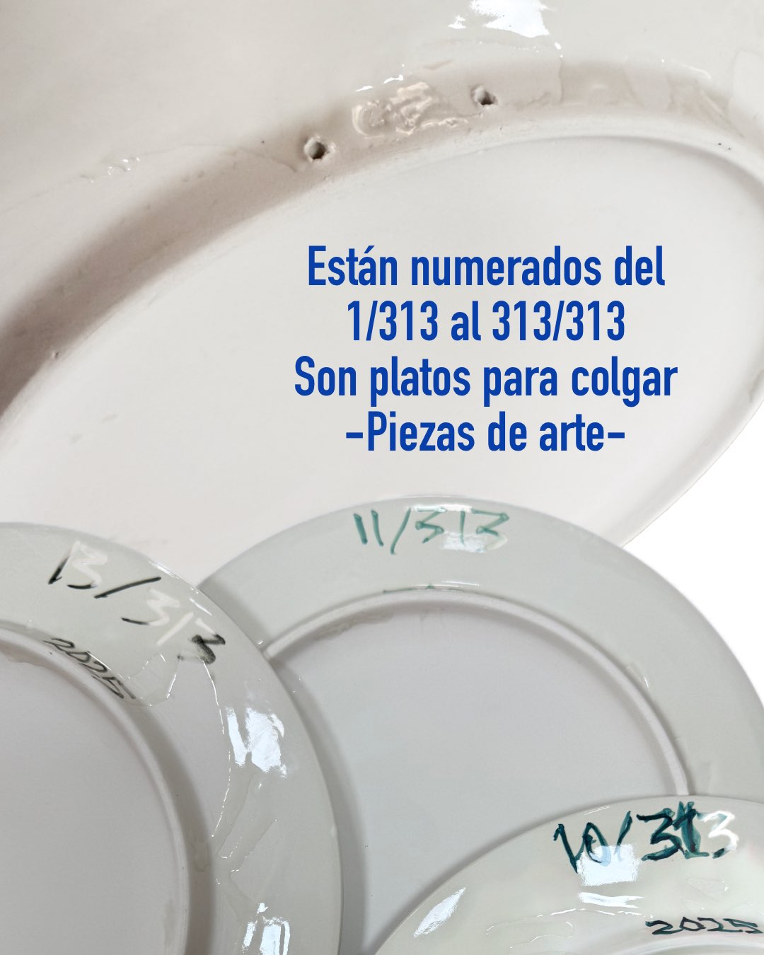 313 platos. 313 mundos