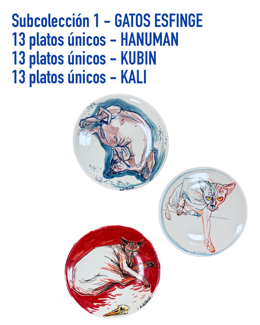 313 platos. 313 mundos