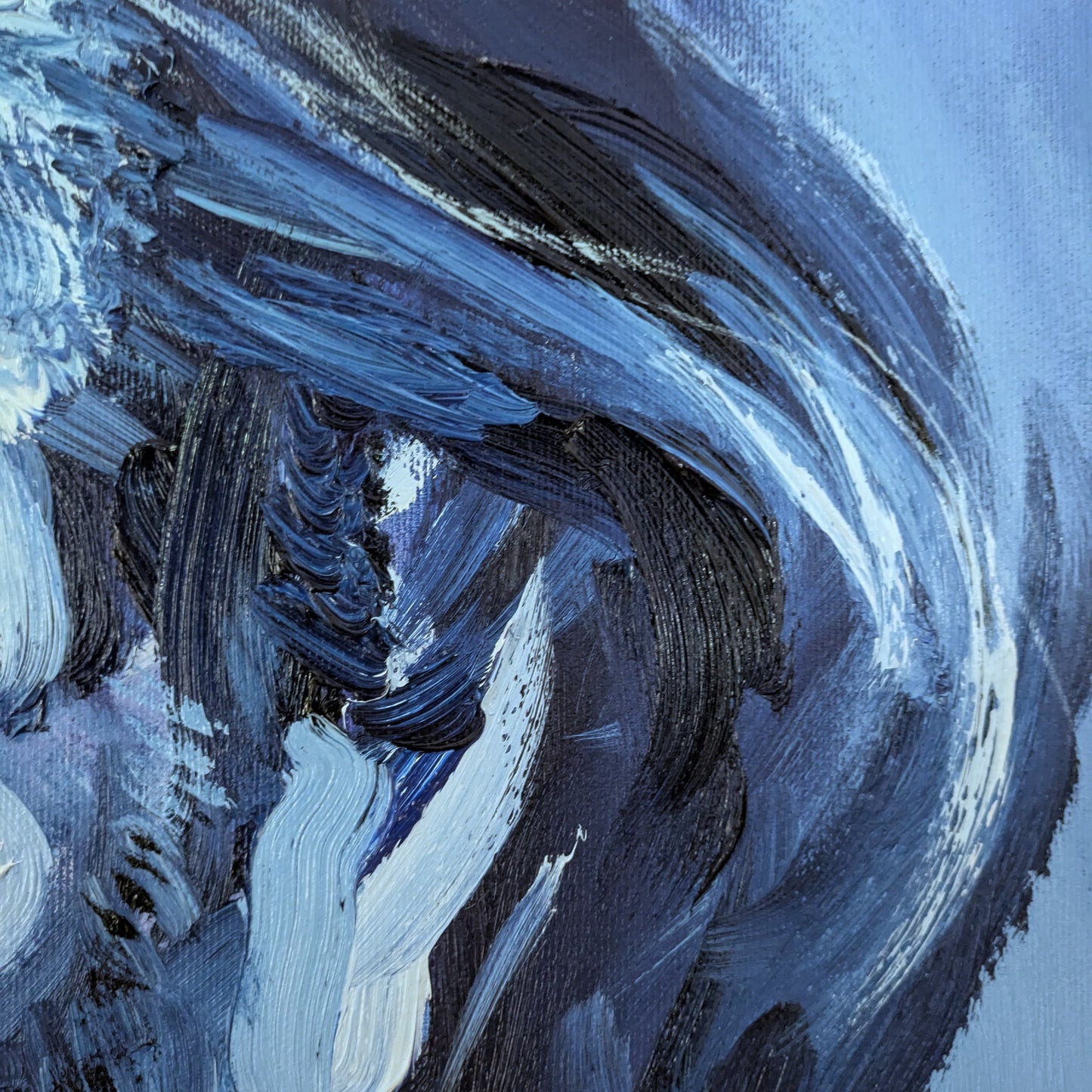 The incredulous look