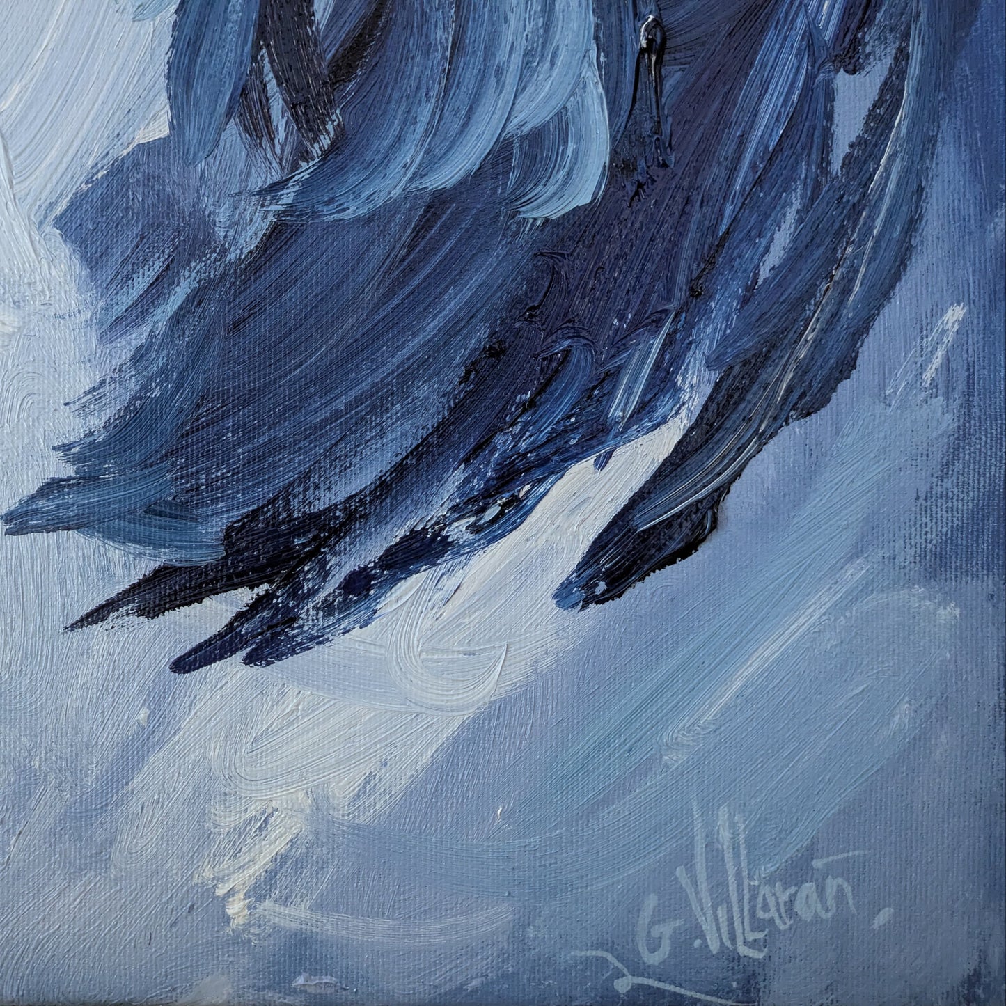 The incredulous look