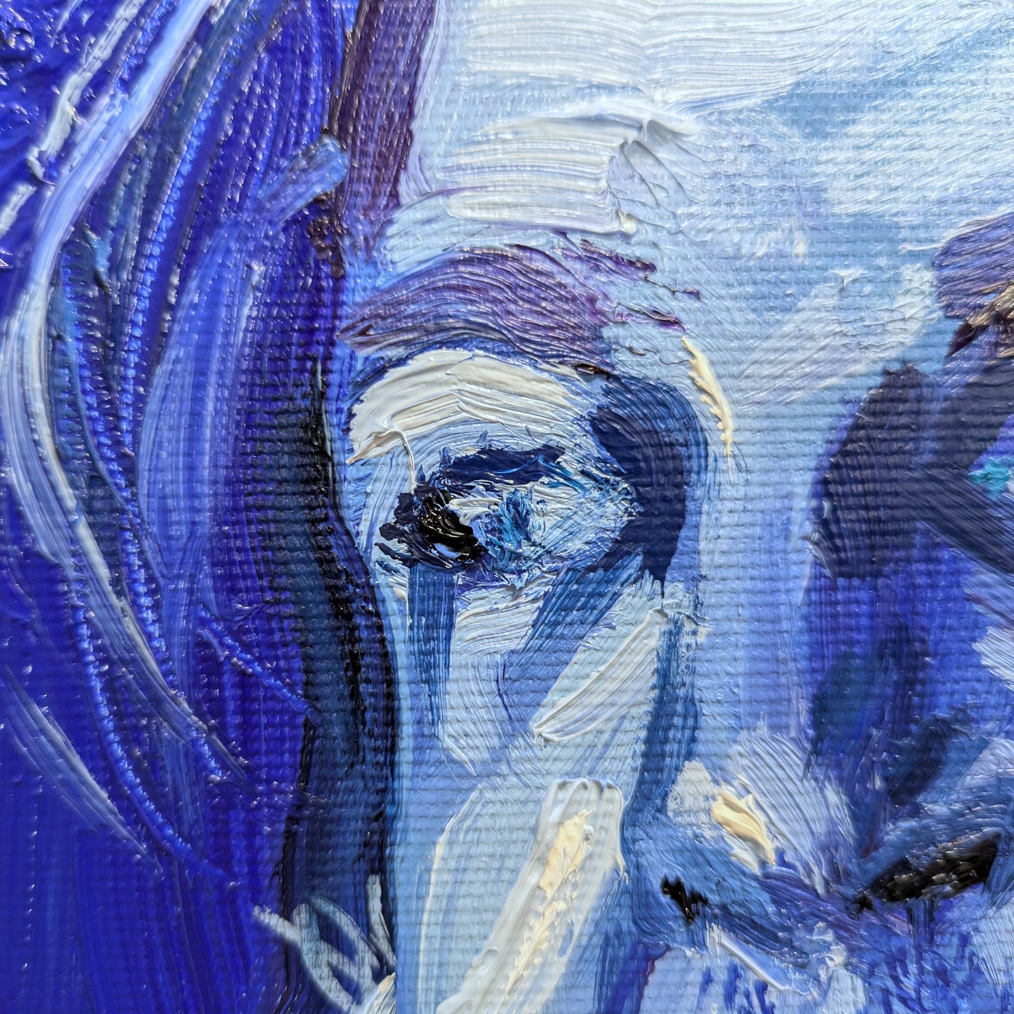 The confidently astute look