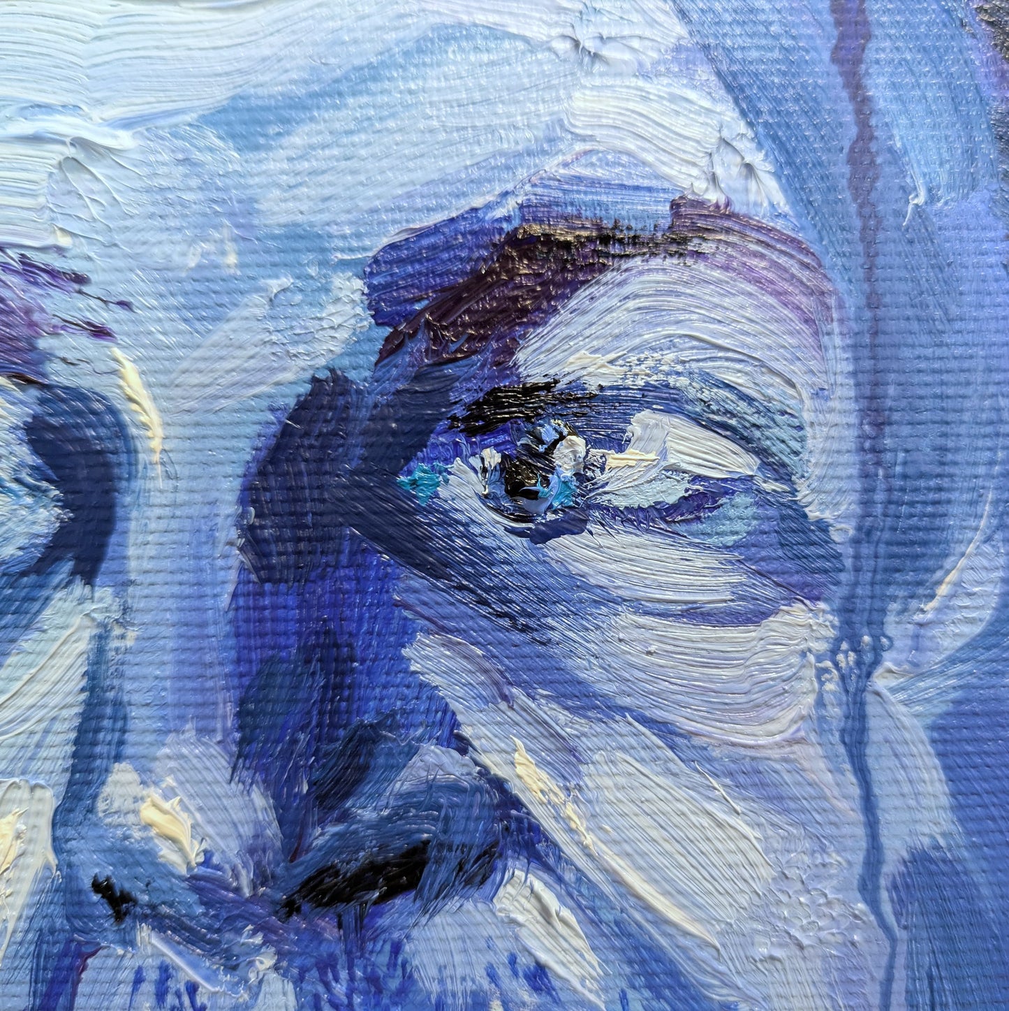 The confidently astute look