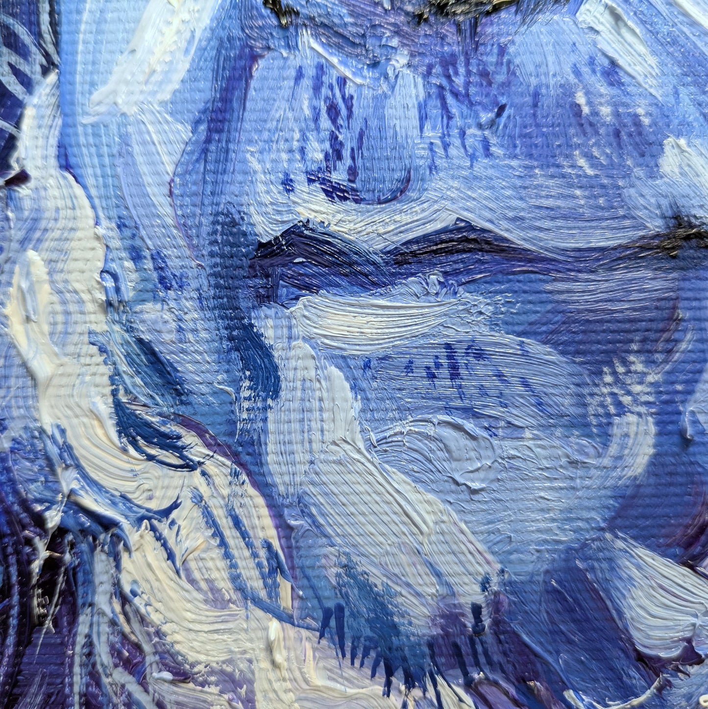 The confidently astute look