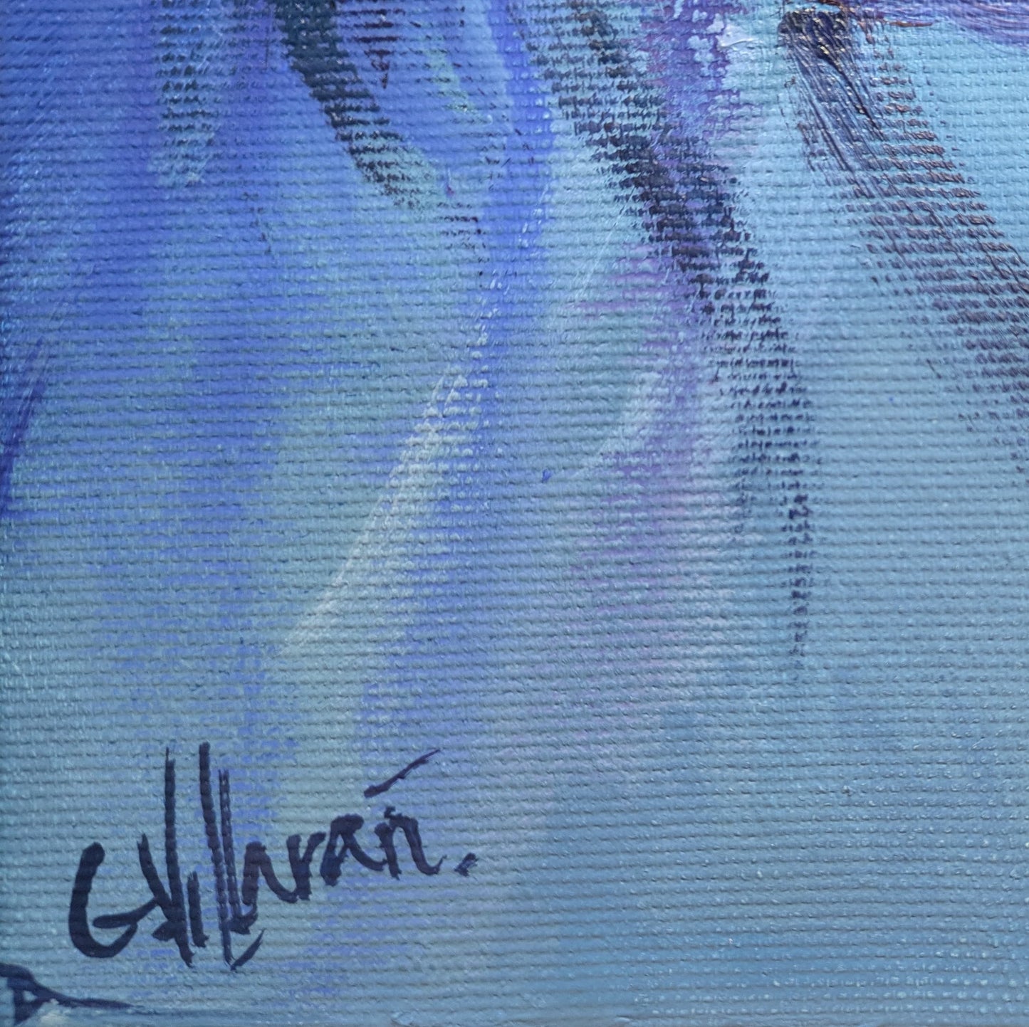 The confidently astute look