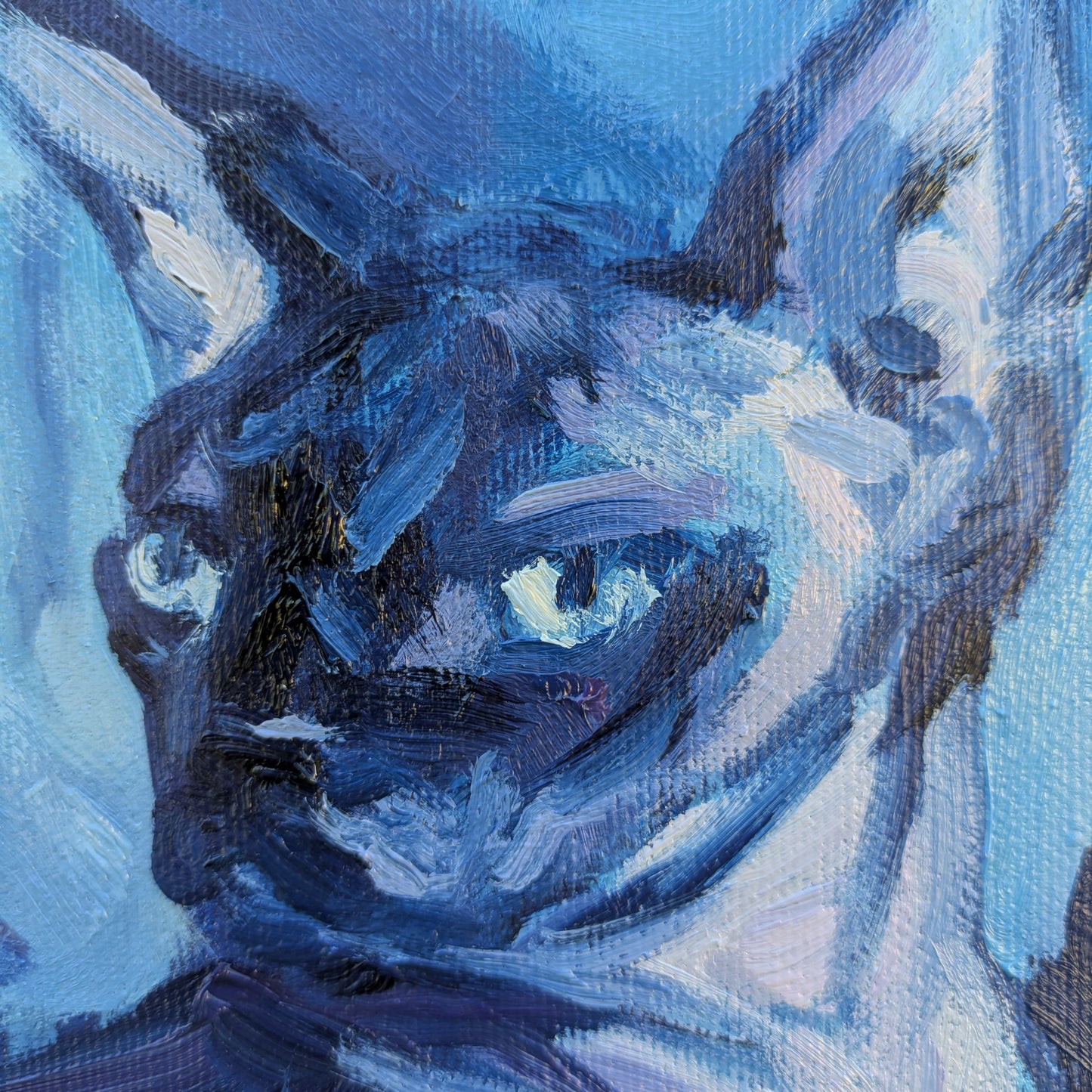 Soñando la realidad soñada