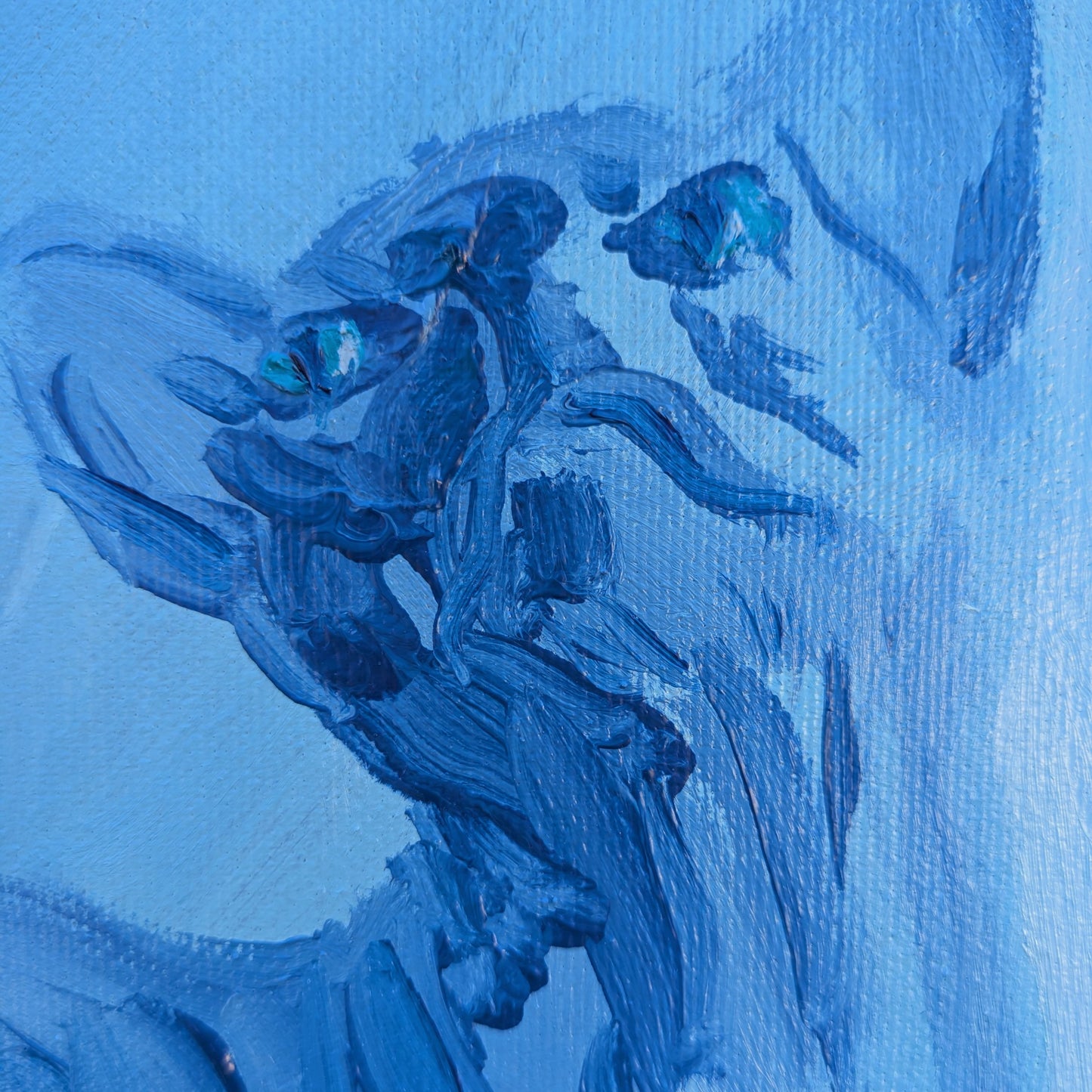 Soñando la realidad soñada