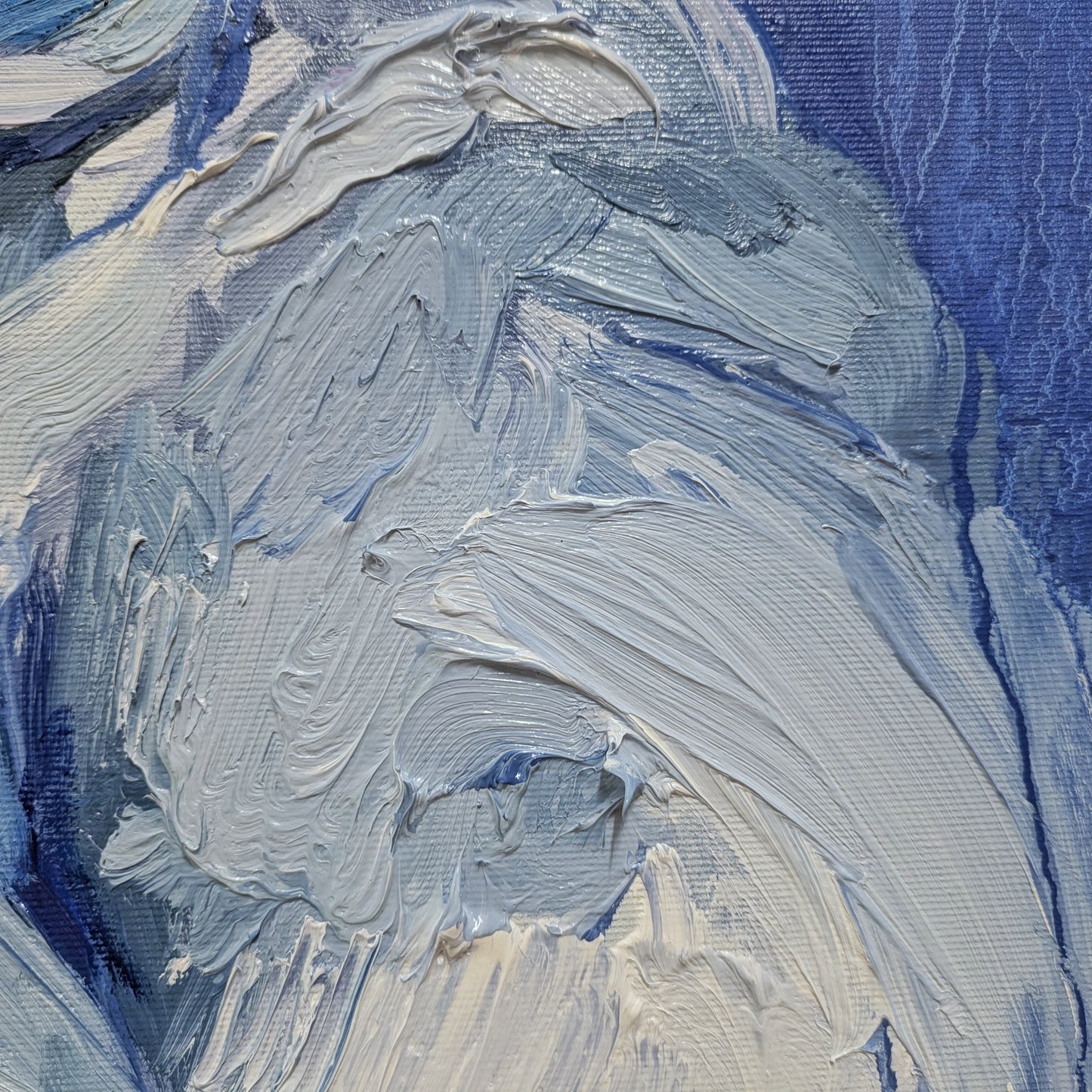 La valiente inocencia