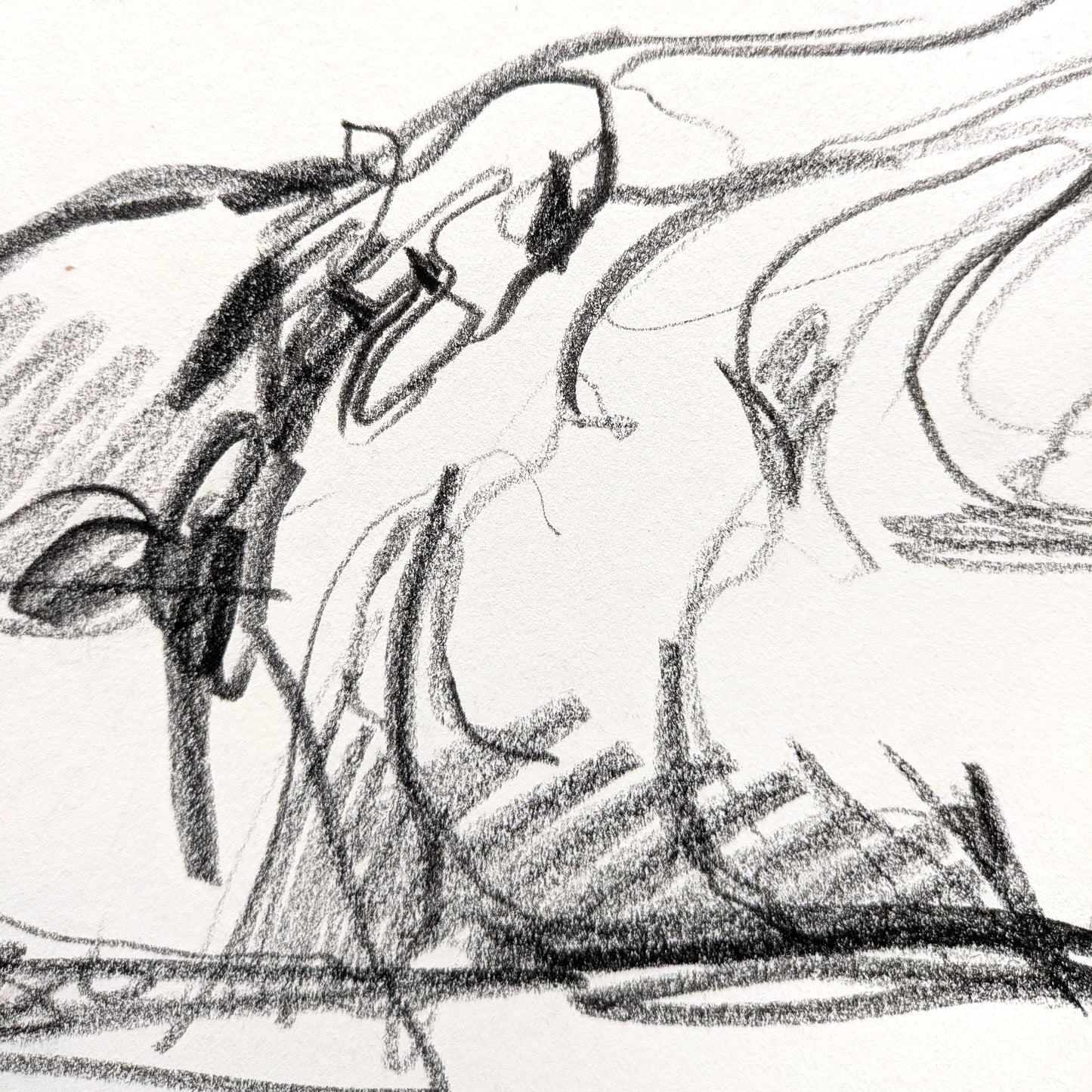 Untitled Drawing XIX