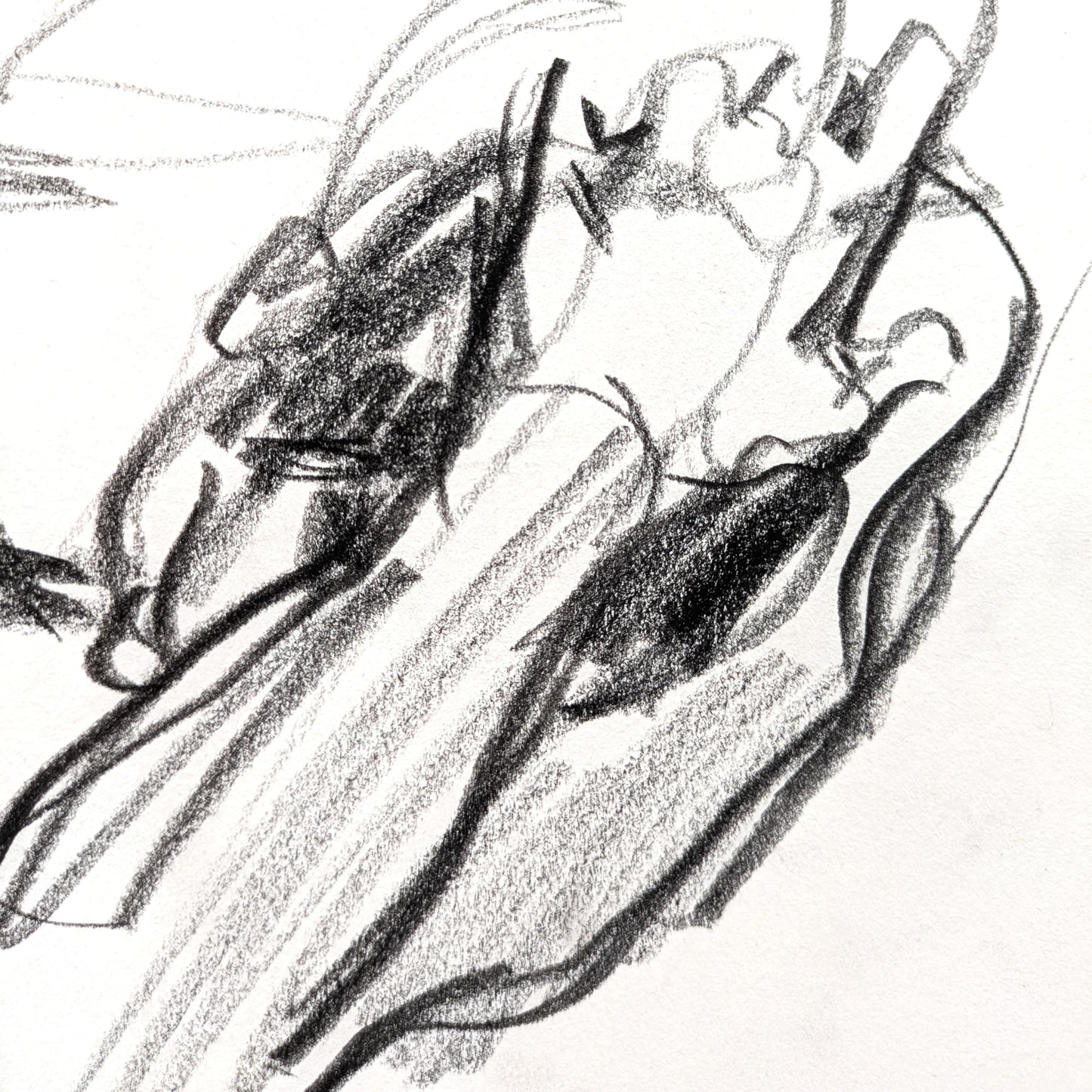 Untitled Drawing XIX