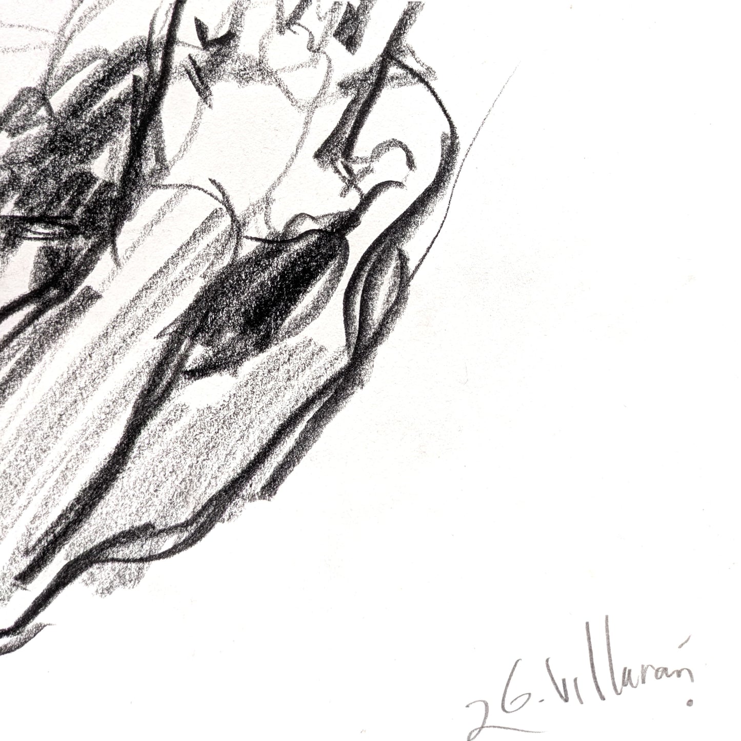 Untitled Drawing XIX