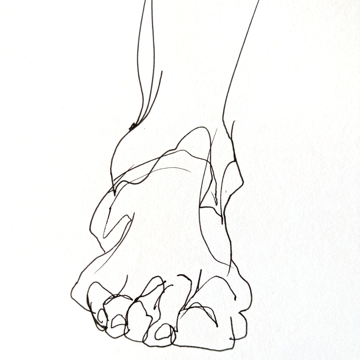 Untitled Drawing XXI