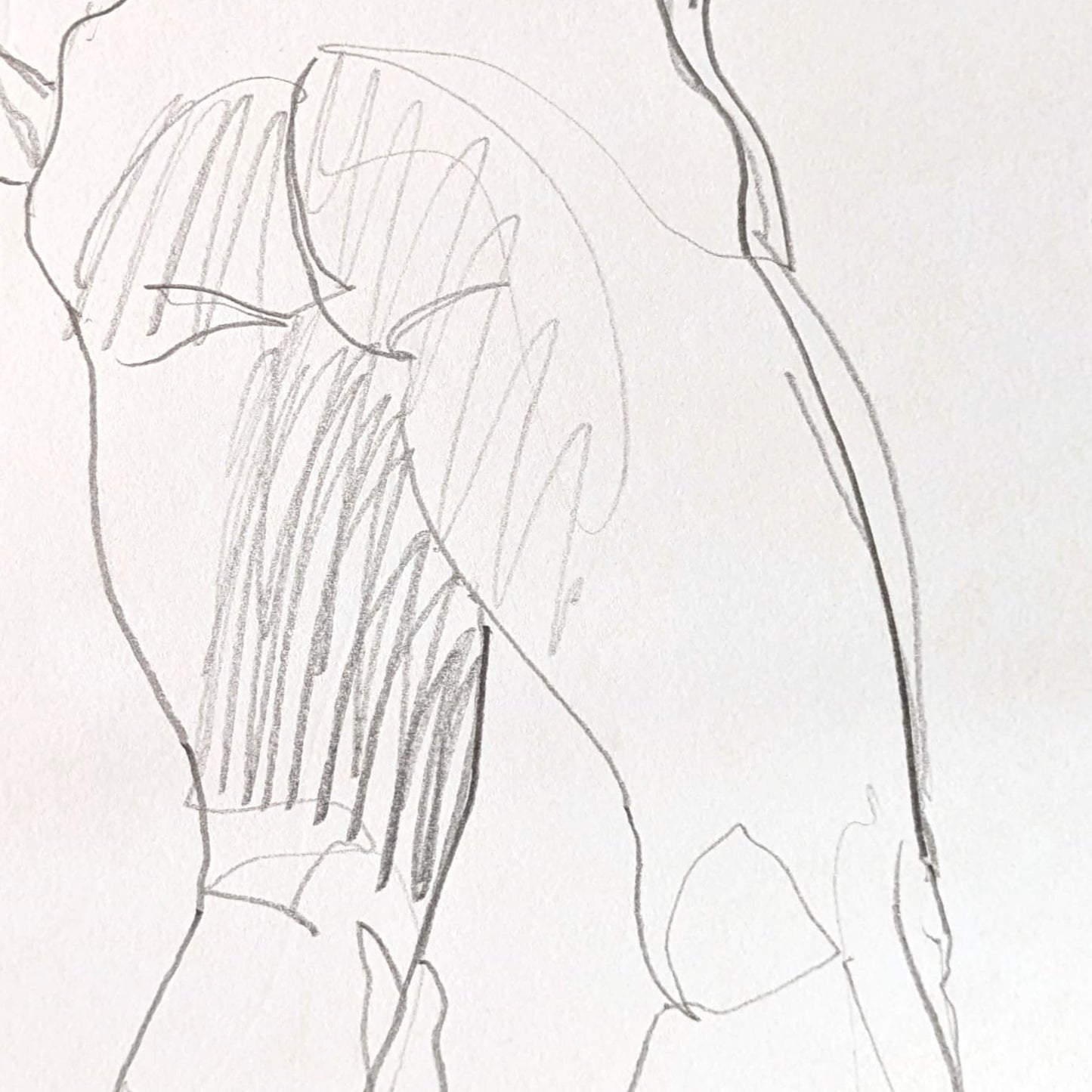 Untitled Drawing XXV