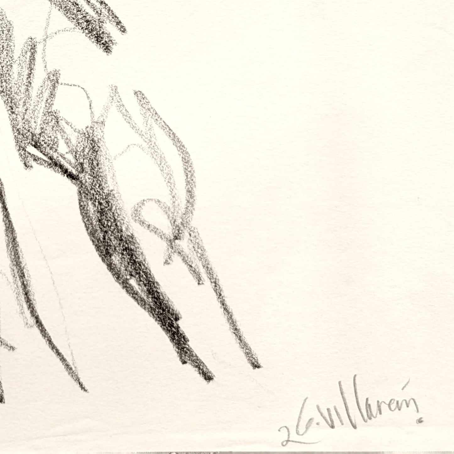 Untitled Drawing XXVIII