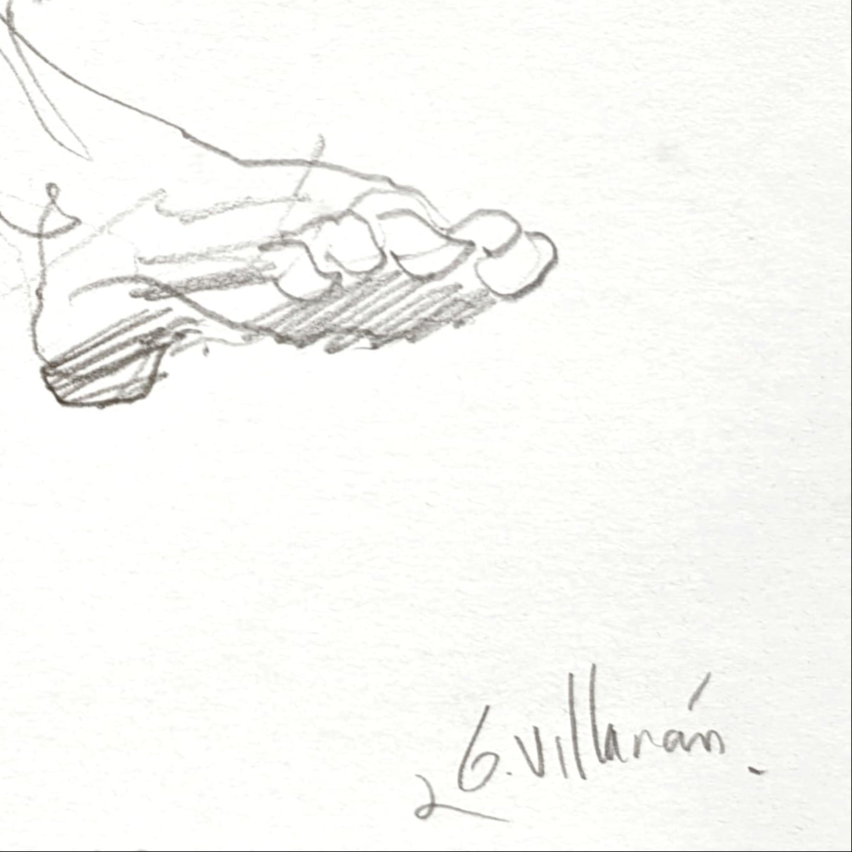 Untitled Drawing XXIX