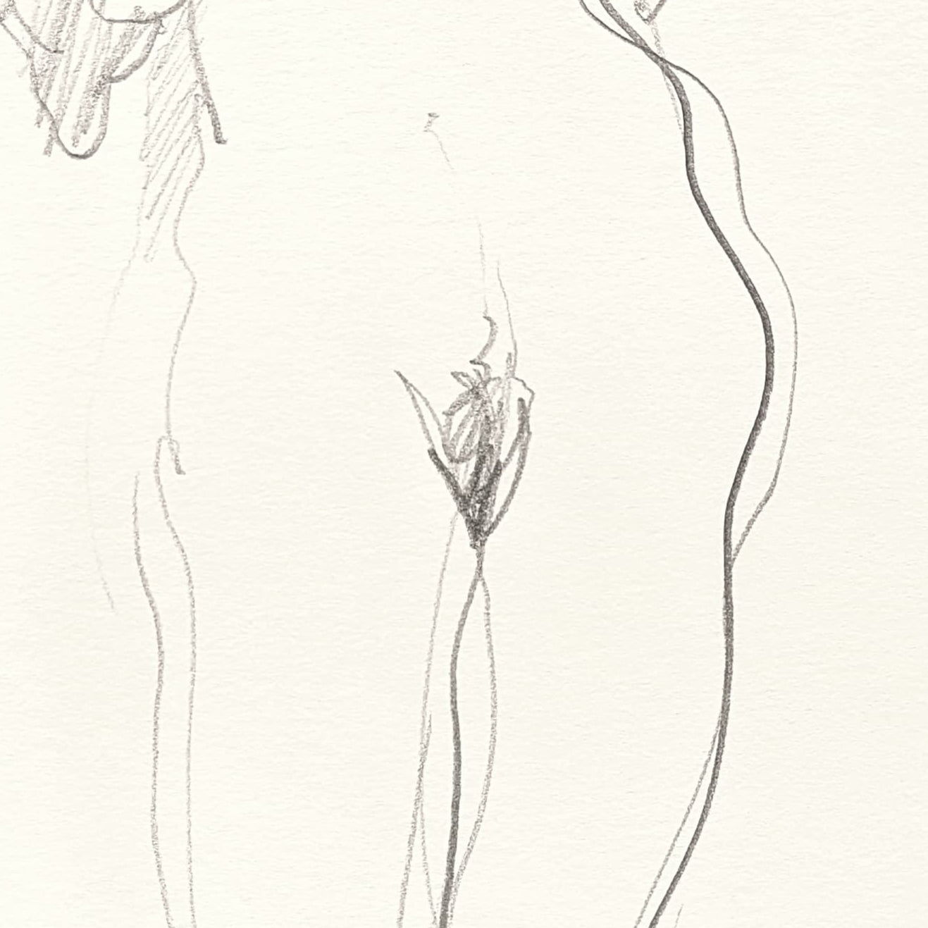 Untitled Drawing XIV